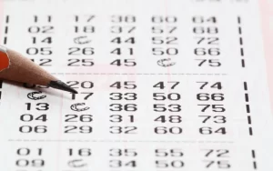 Kerala lottery guessing